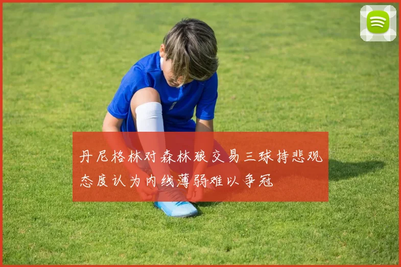 丹尼格林对森林狼交易三球持悲观态度认为内线薄弱难以争冠